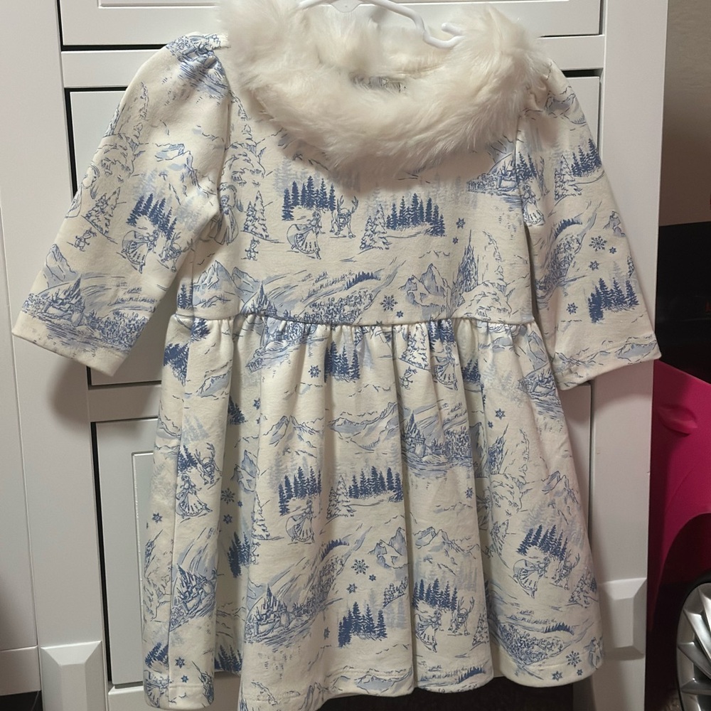 Janie and Jack X Disney Frozen Dress with Faux Fur Collar